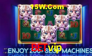 Estatísticas Betvip